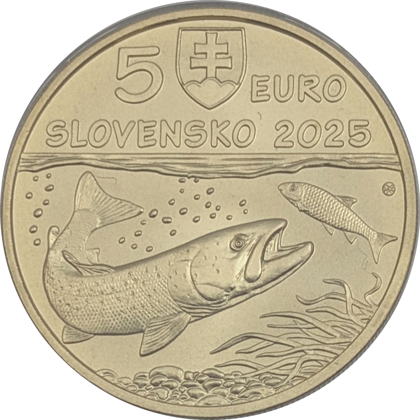 Donaulachs - Flora und Fauna, Kremnitz