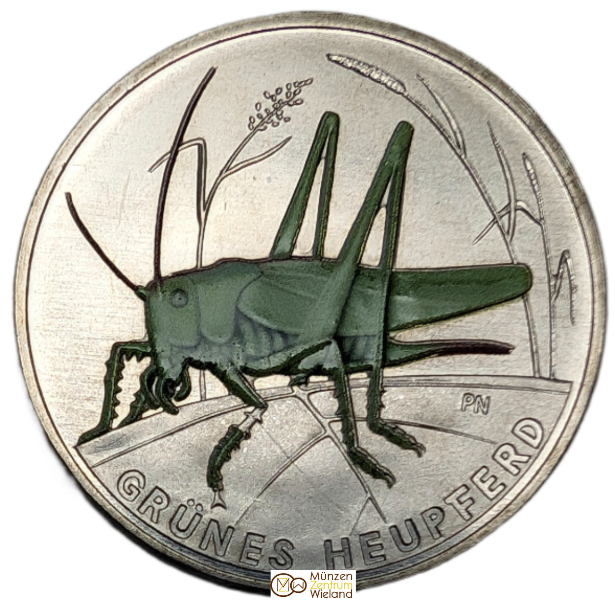 Grünes Heupferd - Wunderwelt Insekten, farbig