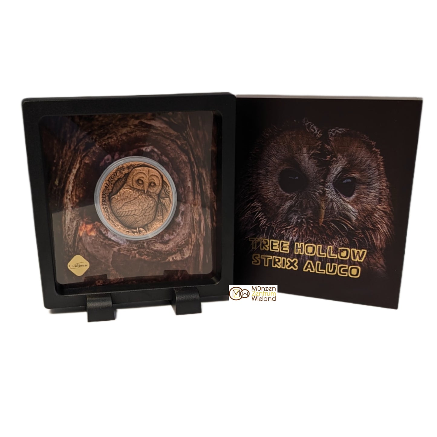 Strix Aluco Tawny Owl, Tree Hollow, Ultra High Relief