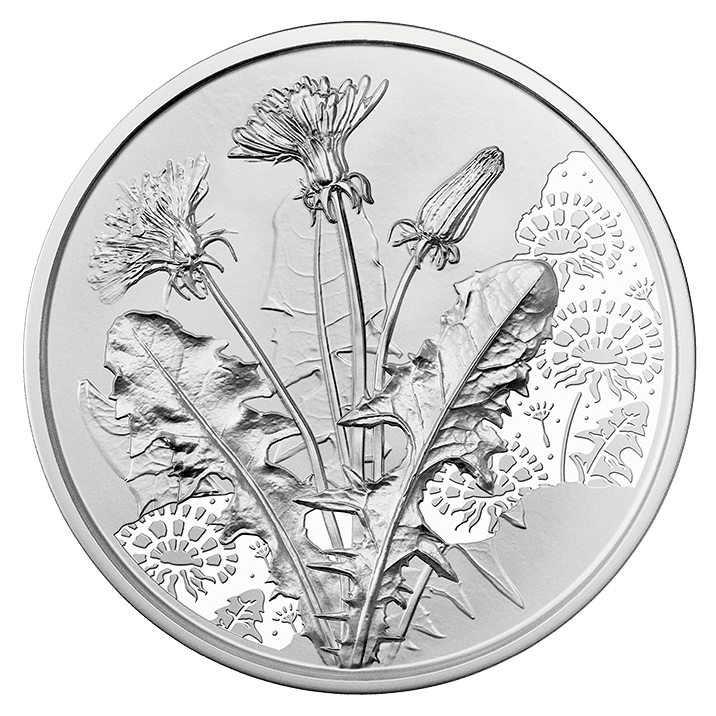 7/7 Das Veilchen - Sprache der Blumen, Blister