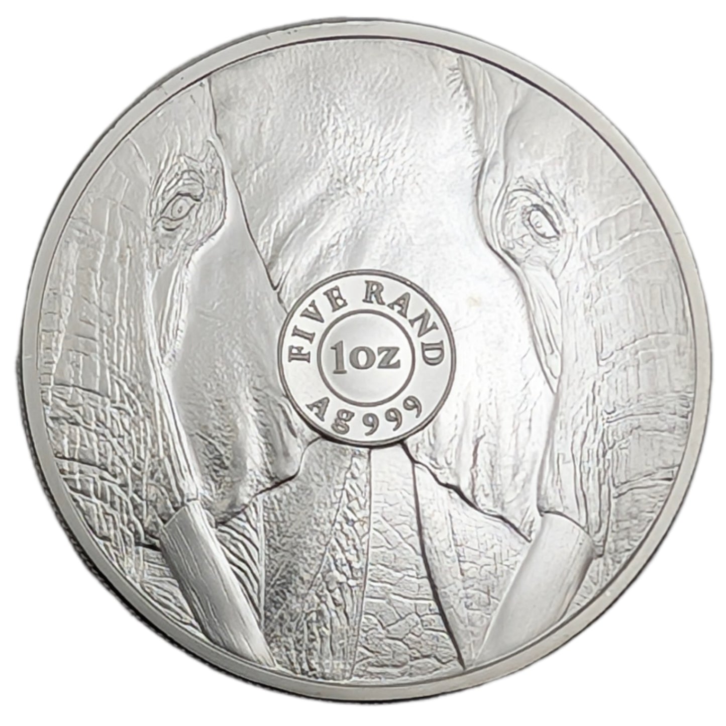 Elephant / Elefant - The Big Five, Blister