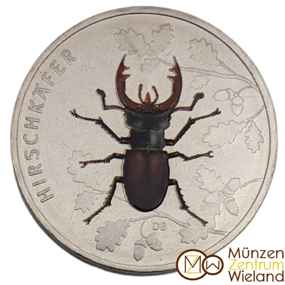 Hirschkäfer - Wunderwelt Insekten, farbig