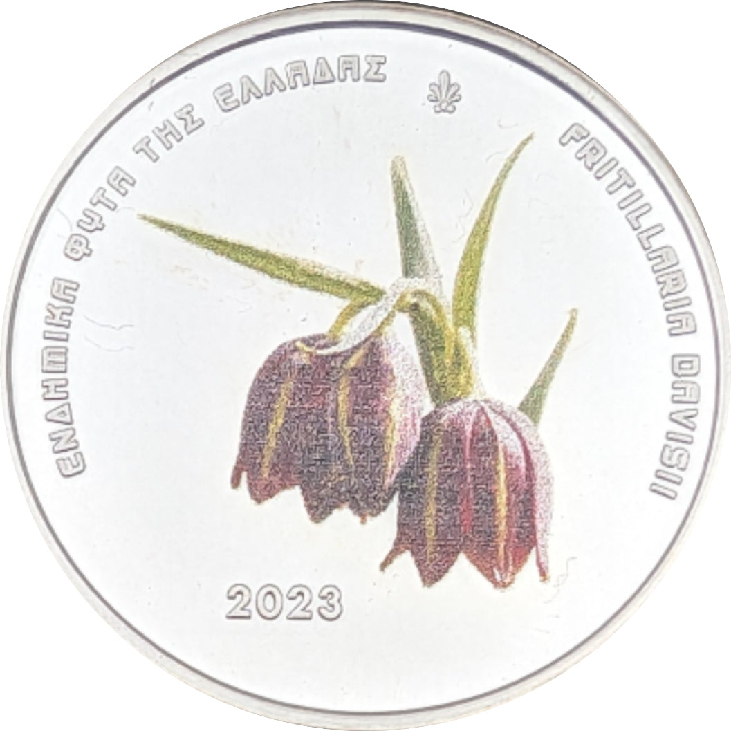 Fritillaria Davisii - Griechische Flora, farbig (Ausgabe 3.10.2023)