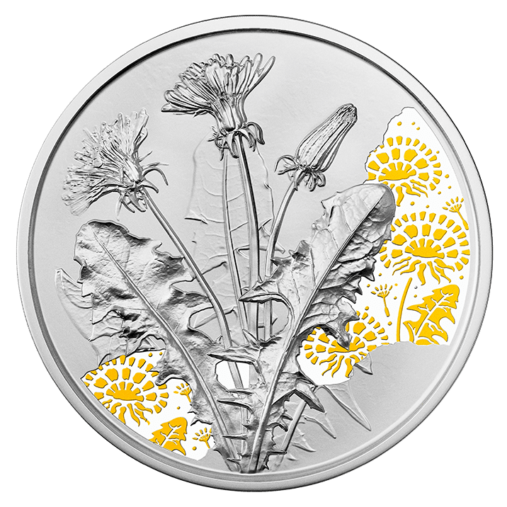 2/7 Löwenzahn - Ein Wunsch wird wahr / Sprache der Blumen, farbig
