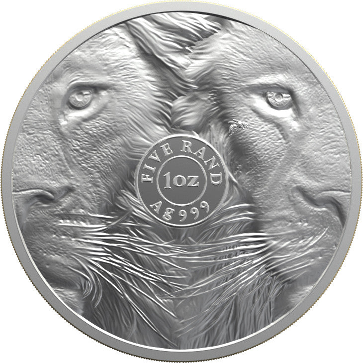#2/5 Löwe - Big Five Serie III im informativen Blister