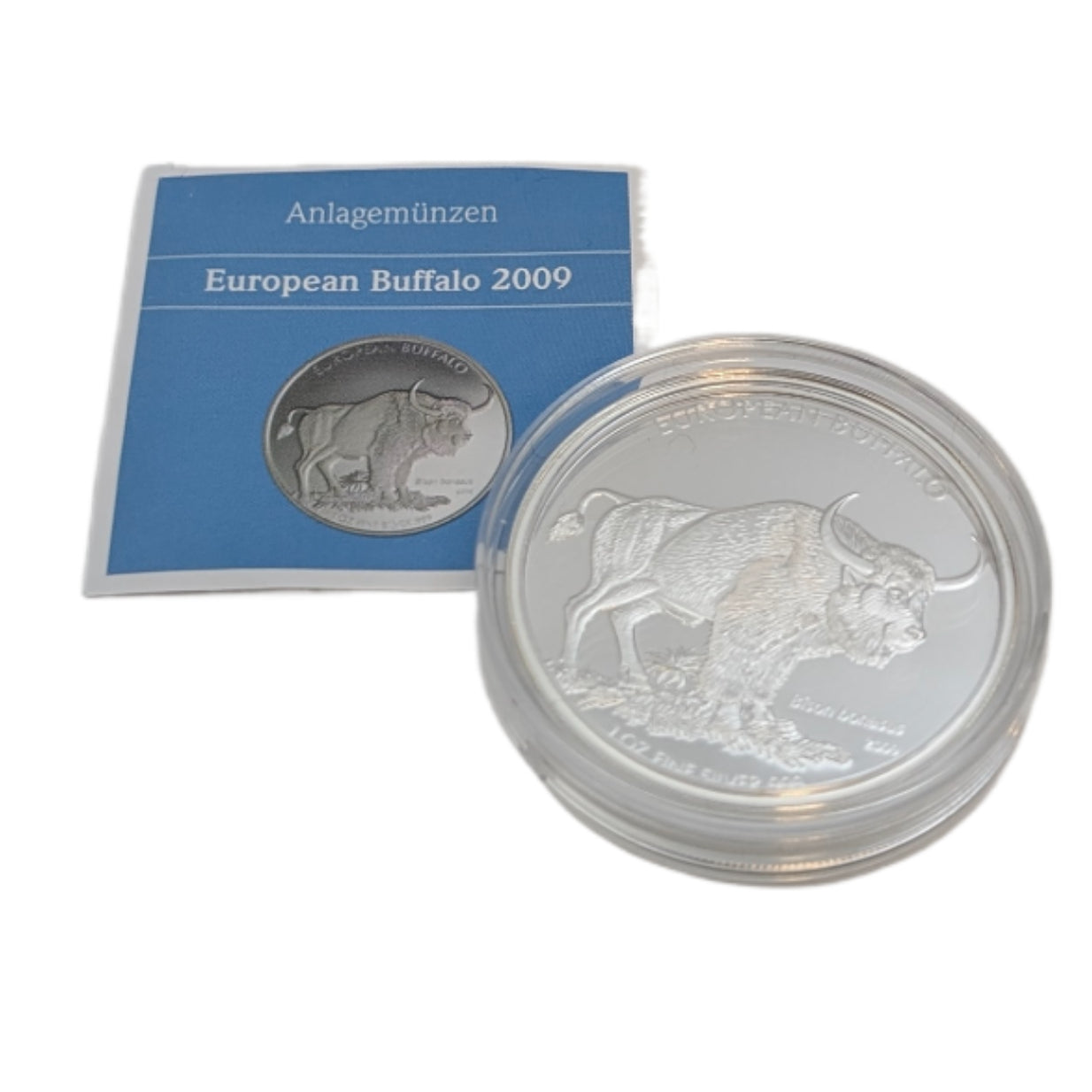 European Buffalo / Europäischer Büffel (Bison Bonasus)