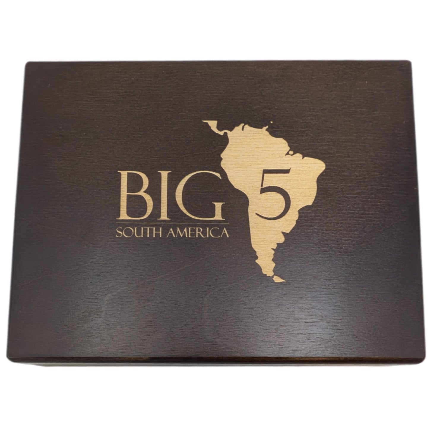 Big 5 of South America: Anaconda, Ameisenbär, Jaguar, Andenbär, Riesenotter