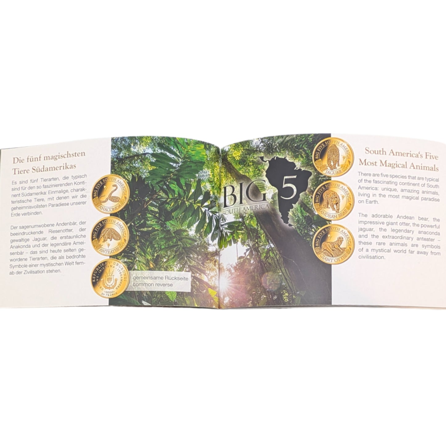 Big 5 of South America: Anaconda, Ameisenbär, Jaguar, Andenbär, Riesenotter