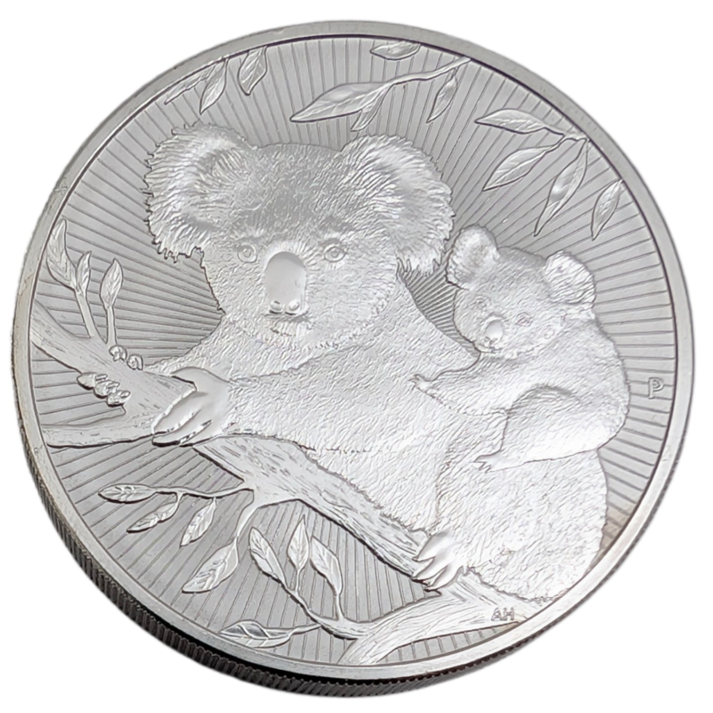 Koala New Generation, Bullion, Perth,
