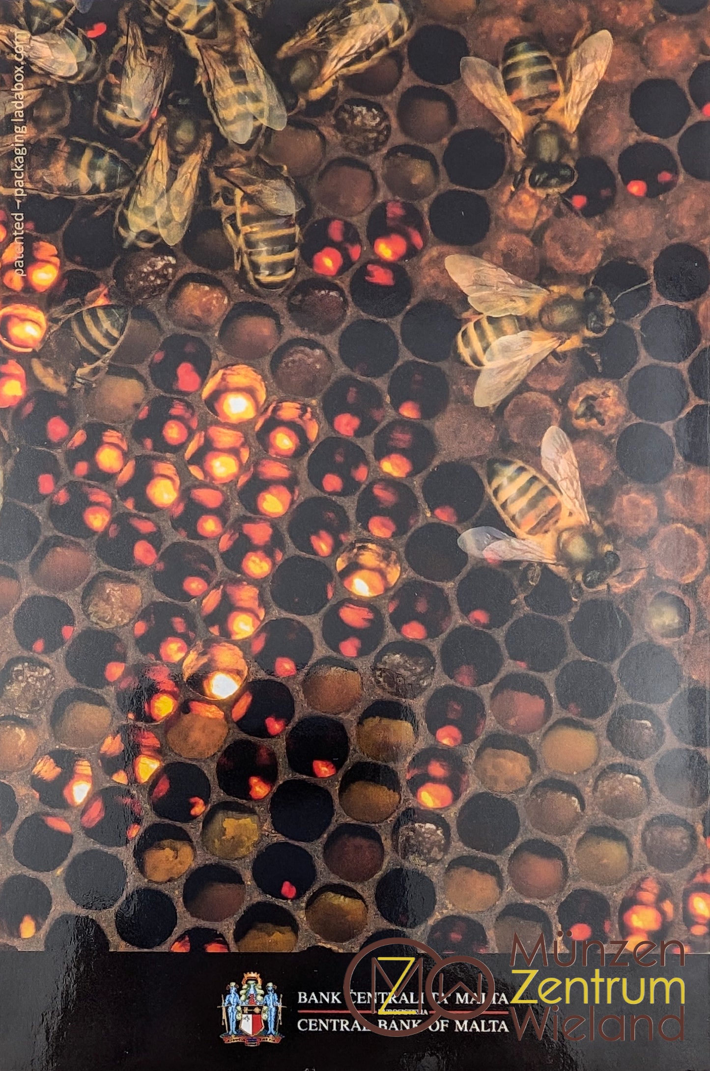 Maltesische Honigbiene - The Maltese Honey Bee