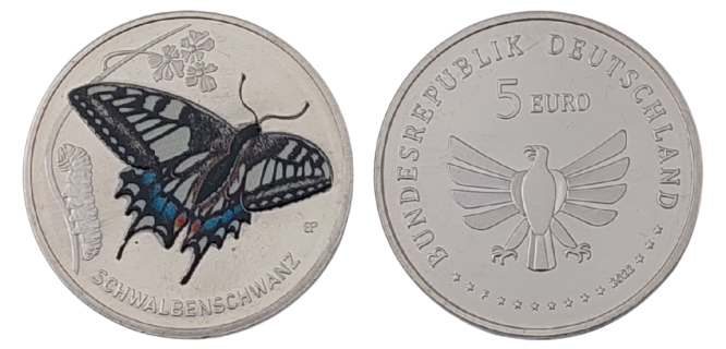 #3 Schwalbenschwanz - Insektenserie, farbig