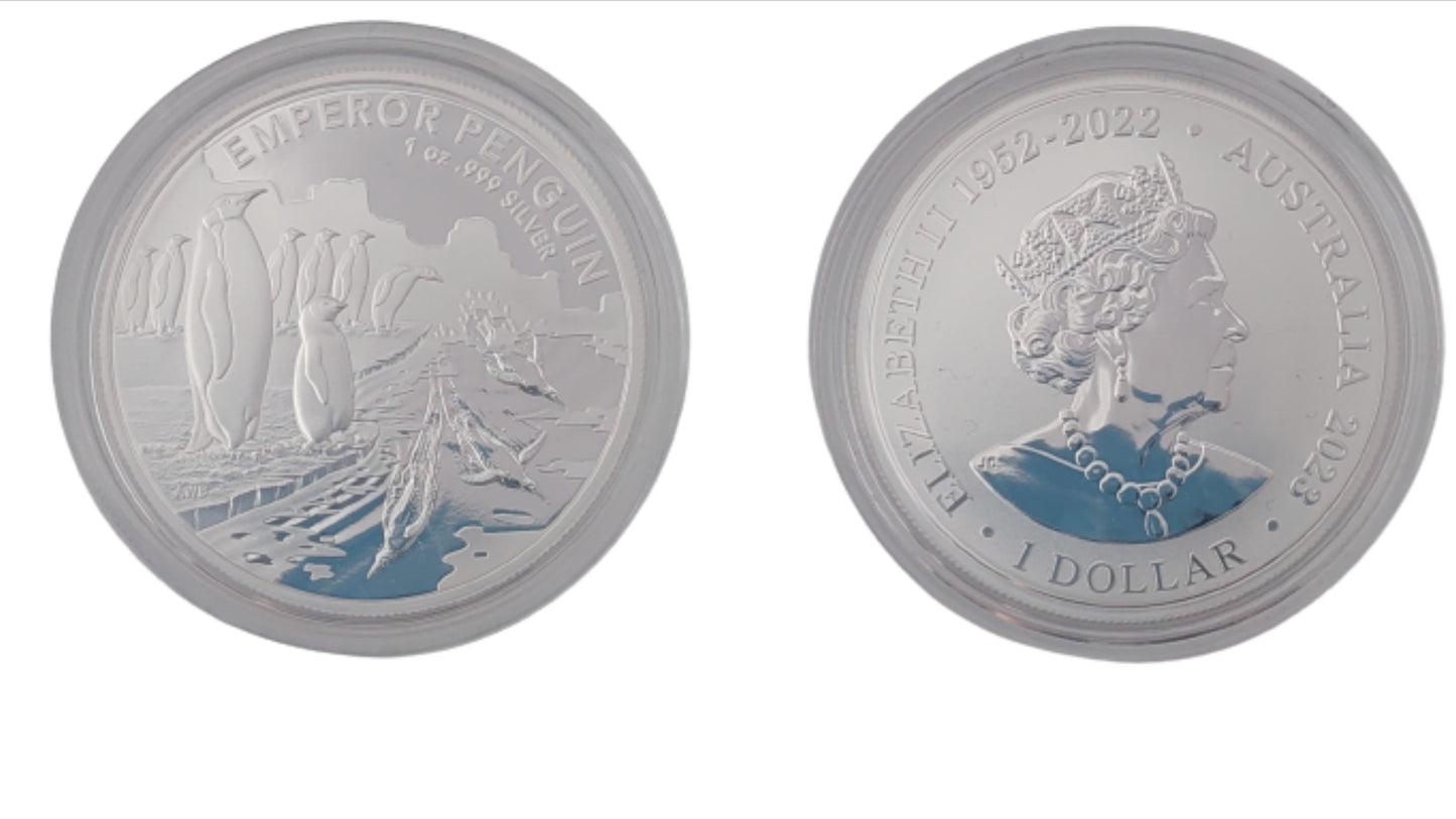 Kaiserpinguin - Antarctic Territory