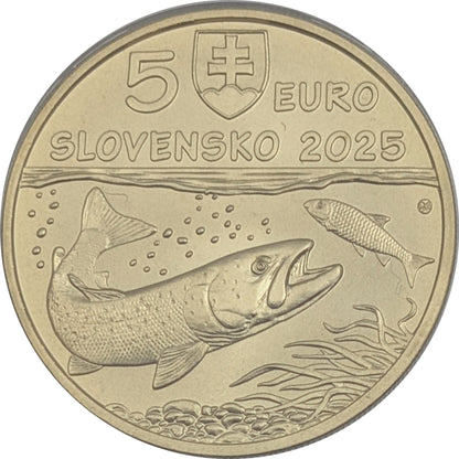 Donaulachs - Flora und Fauna, Kremnitz