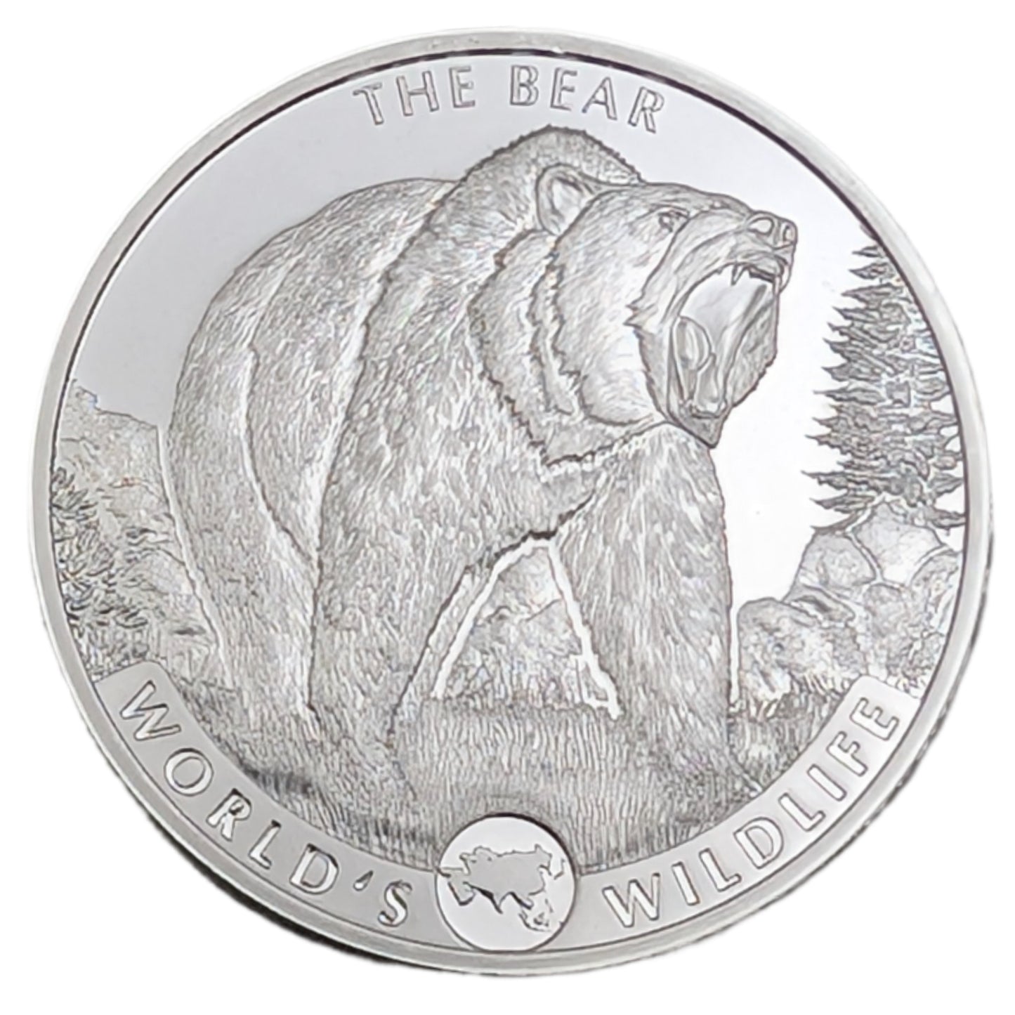 The Bear / Der Bär - Wildlife, Bullion
