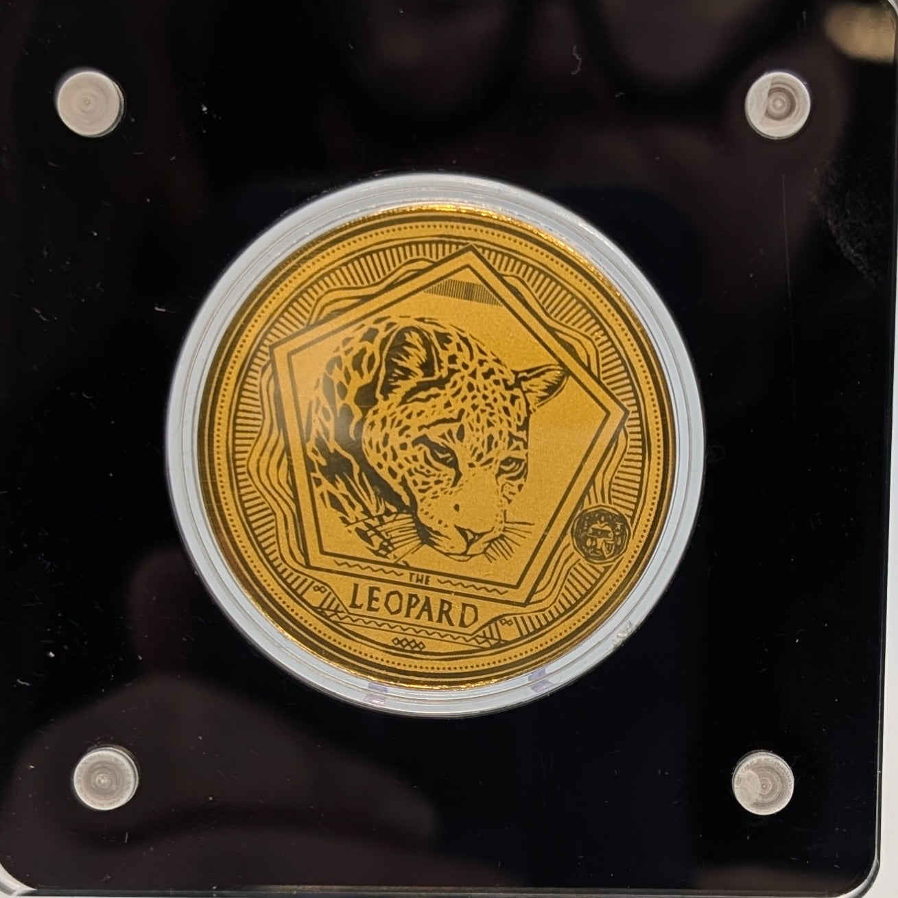 Big Five - Löwe, Nashorn, Elefant, Büffel, Leopard