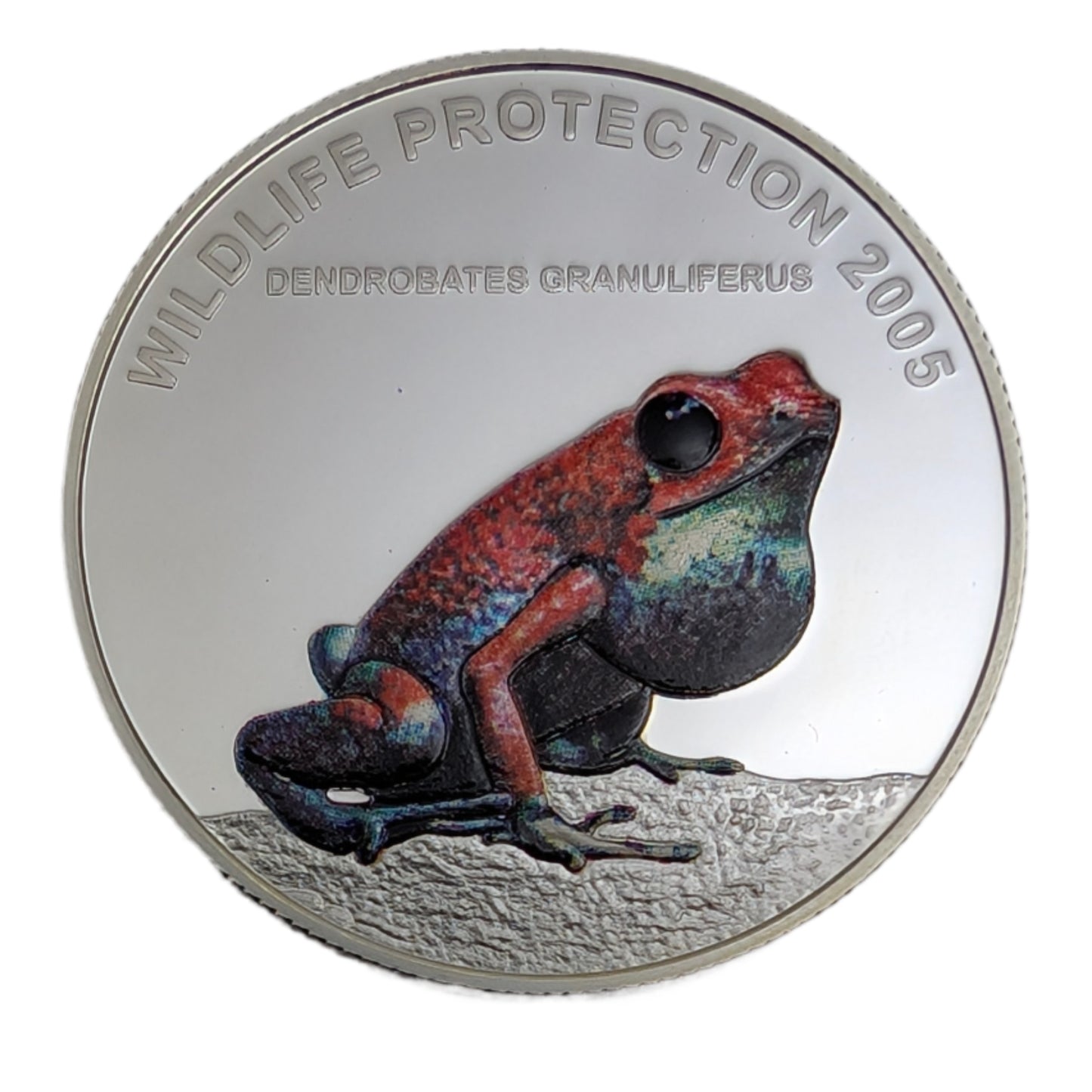 Dendrobates Granuliferus - Wildlife Protection, Granulierter Baumsteiger, farbig, KM861