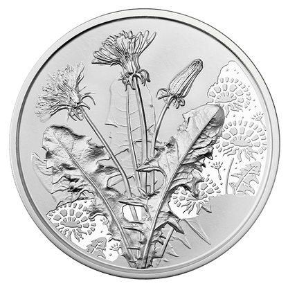 2/7 Löwenzahn - Ein Wunsch wird wahr / Sprache der Blumen, Blister