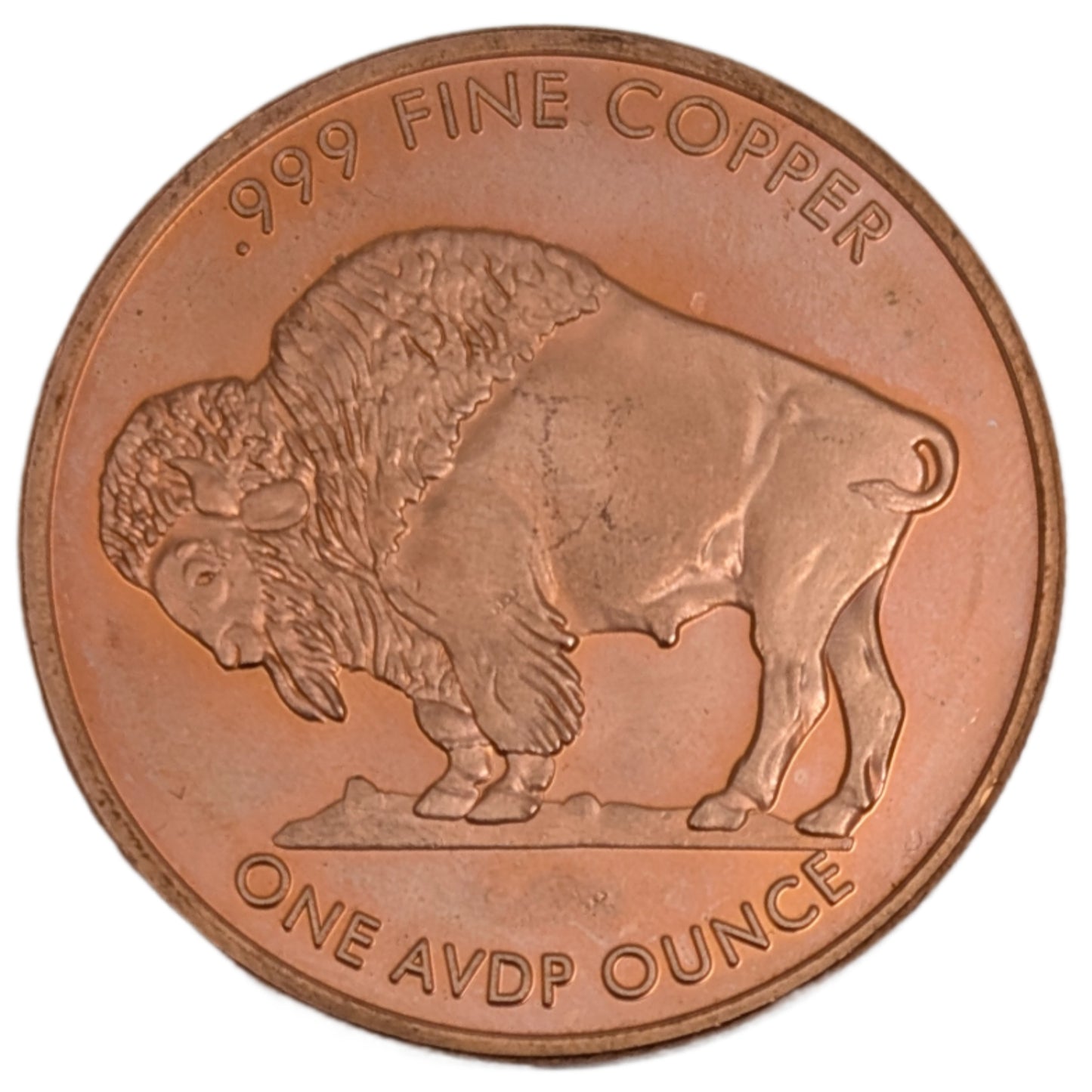 Büffel / Buffalo