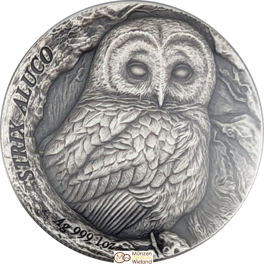 Strix Aluco Tawny Owl, Tree Hollow, Ultra High Relief