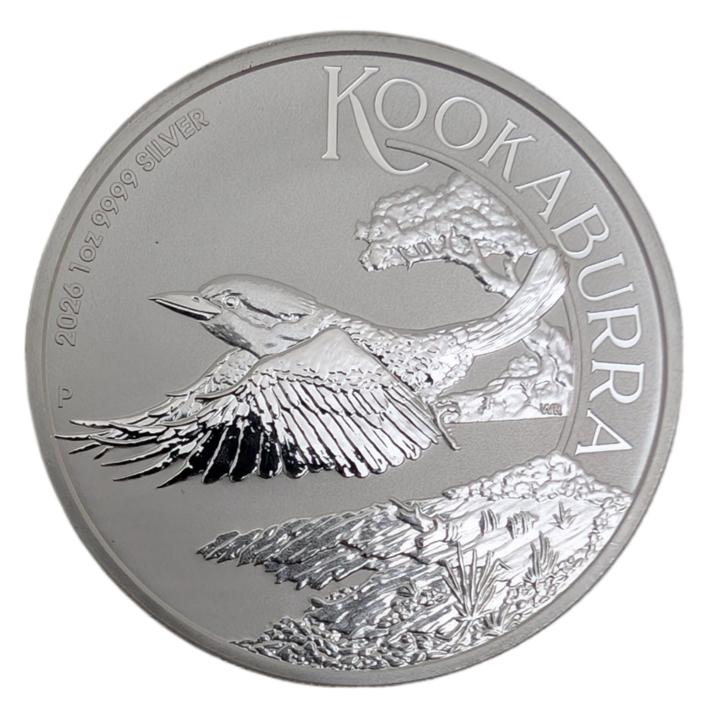 Kookaburra