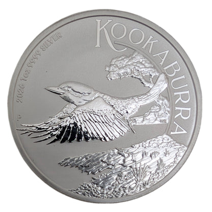 Kookaburra