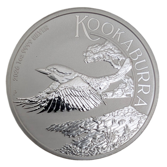 Kookaburra