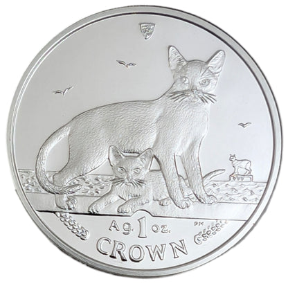 Abessiner Katze - Katzenserie