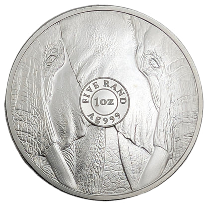 Elephant / Elefant - The Big Five, Blister