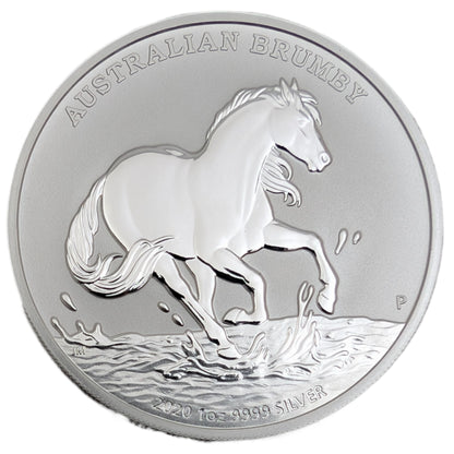 Australian Brumby