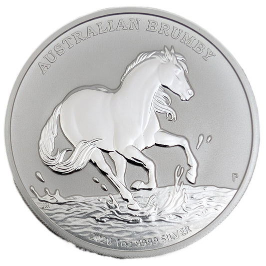 Australian Brumby