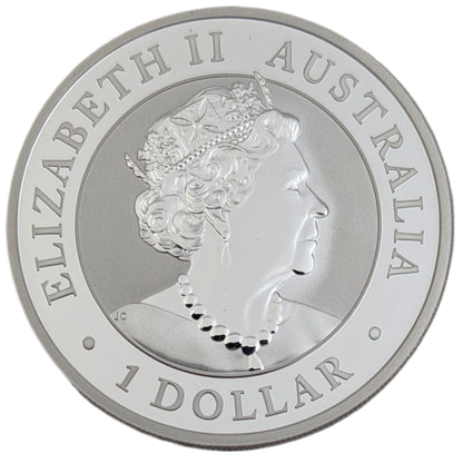 Keilschwanzadler/Wedge-Tailed Eagle, Bullion