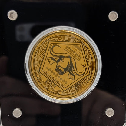 Big Five - Löwe, Nashorn, Elefant, Büffel, Leopard