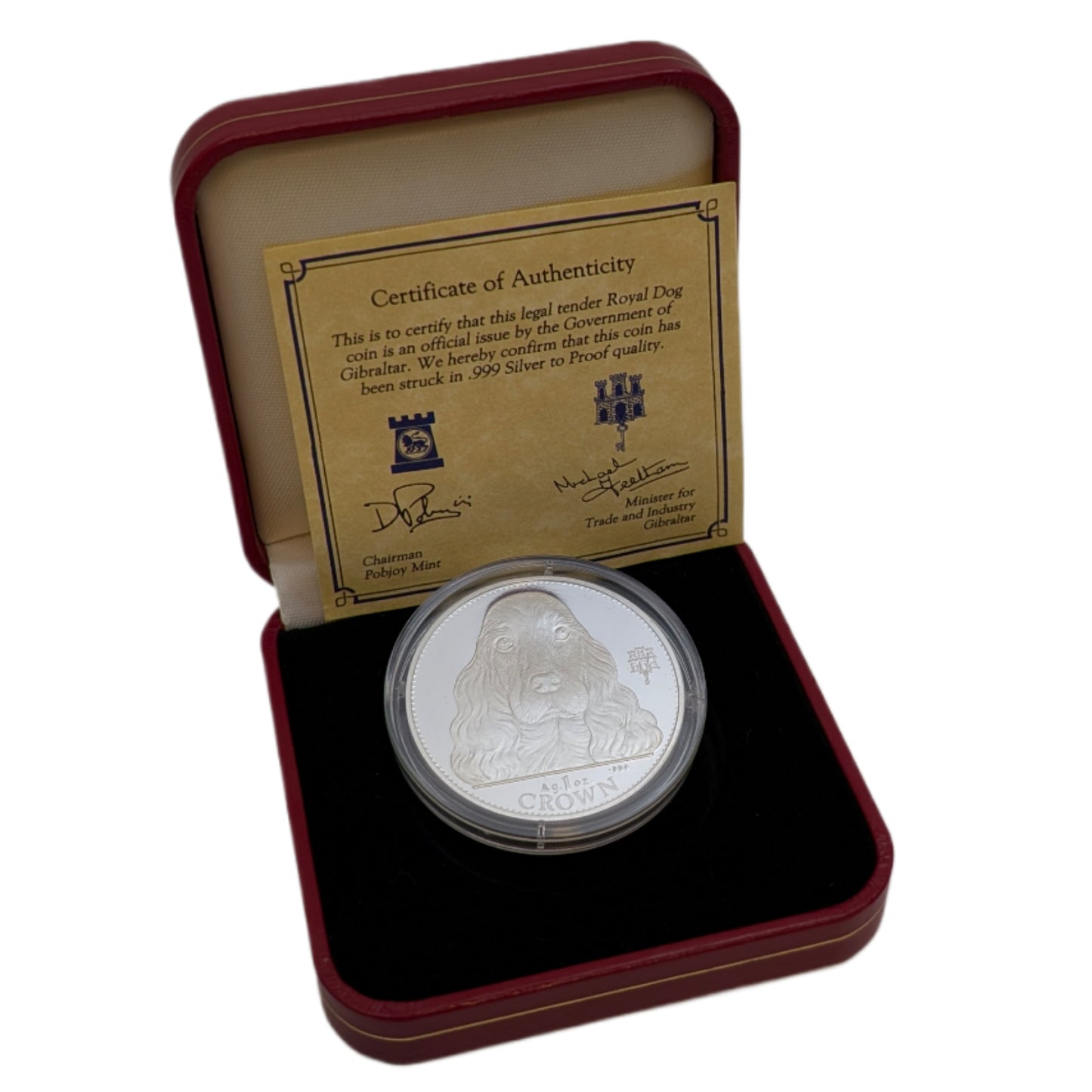 Cocker Spaniel - Hundeserie