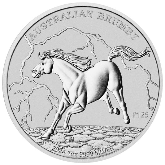 Australian Brumby