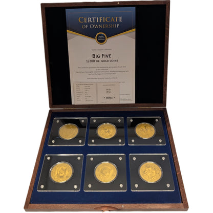 Big Five - Löwe, Nashorn, Elefant, Büffel, Leopard