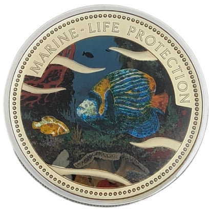 Emperor angelfish/Imperator-Kaiserfisch (Pomacanthus Imperator), Marine Life Protection, Farbapplikation, mit Glitzer