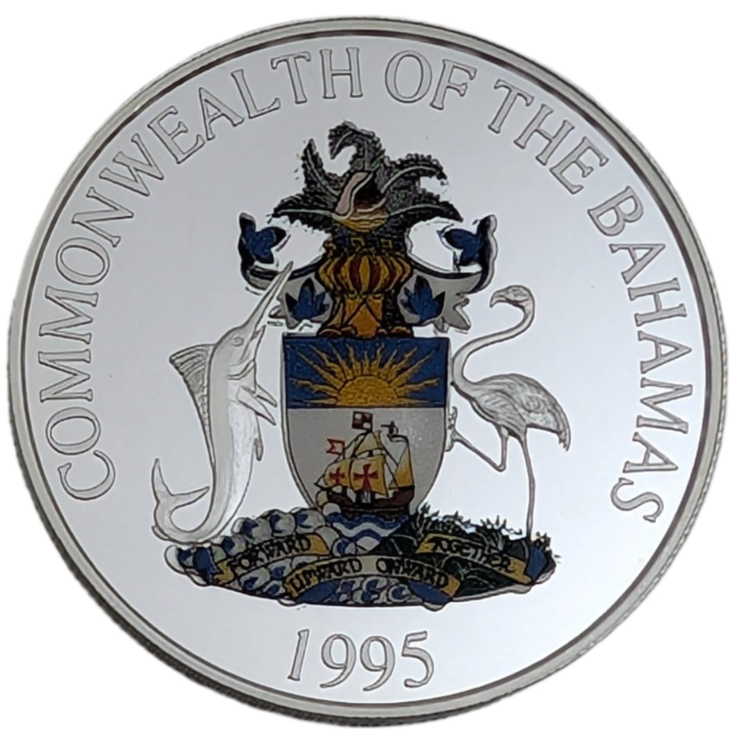 Caribbean Monk Seal/Mönchsrobbe - Flora und Faune, colored, farbig