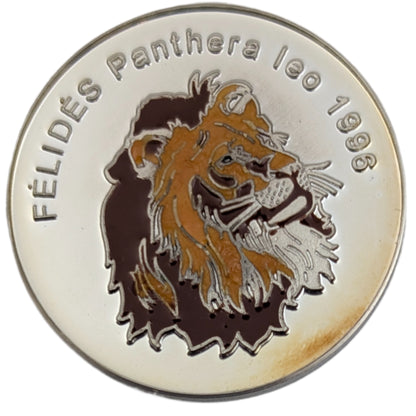 Löwe - Katzenserie, Farbapplikation (Felides Panthera Leo)