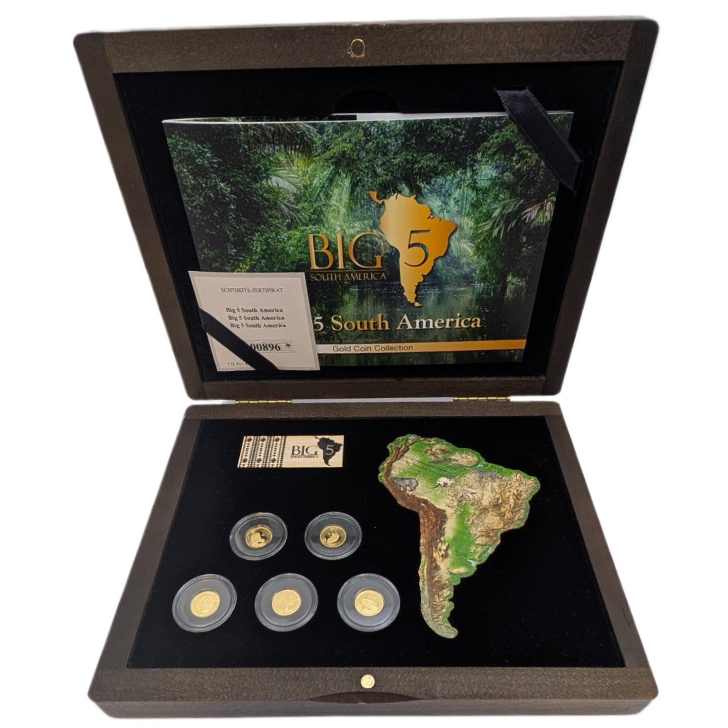 Big 5 of South America: Anaconda, Ameisenbär, Jaguar, Andenbär, Riesenotter