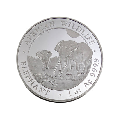 Elefant - African Wildlife