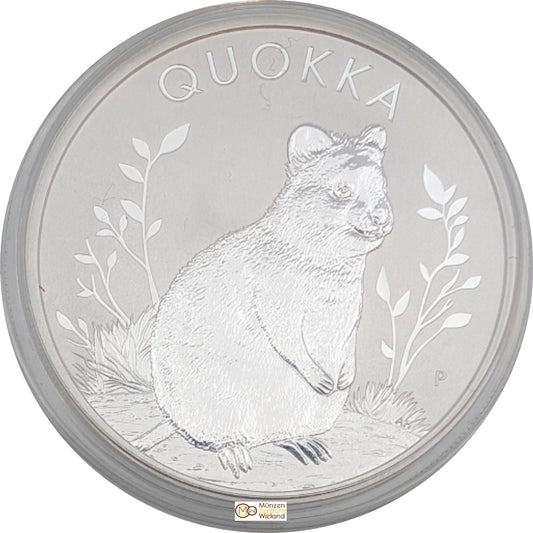 Quokka, Bullion