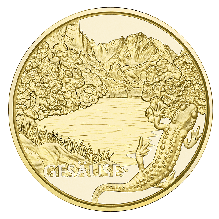 Am wilden Wasser, Gesäuse, Alpensalamander, Federnelke- Naturschutz Alpen