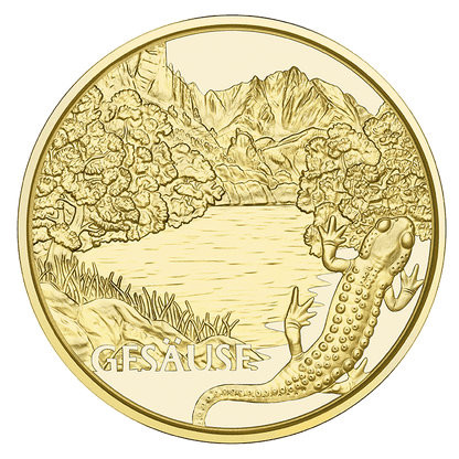 Am wilden Wasser, Gesäuse, Alpensalamander, Federnelke- Naturschutz Alpen