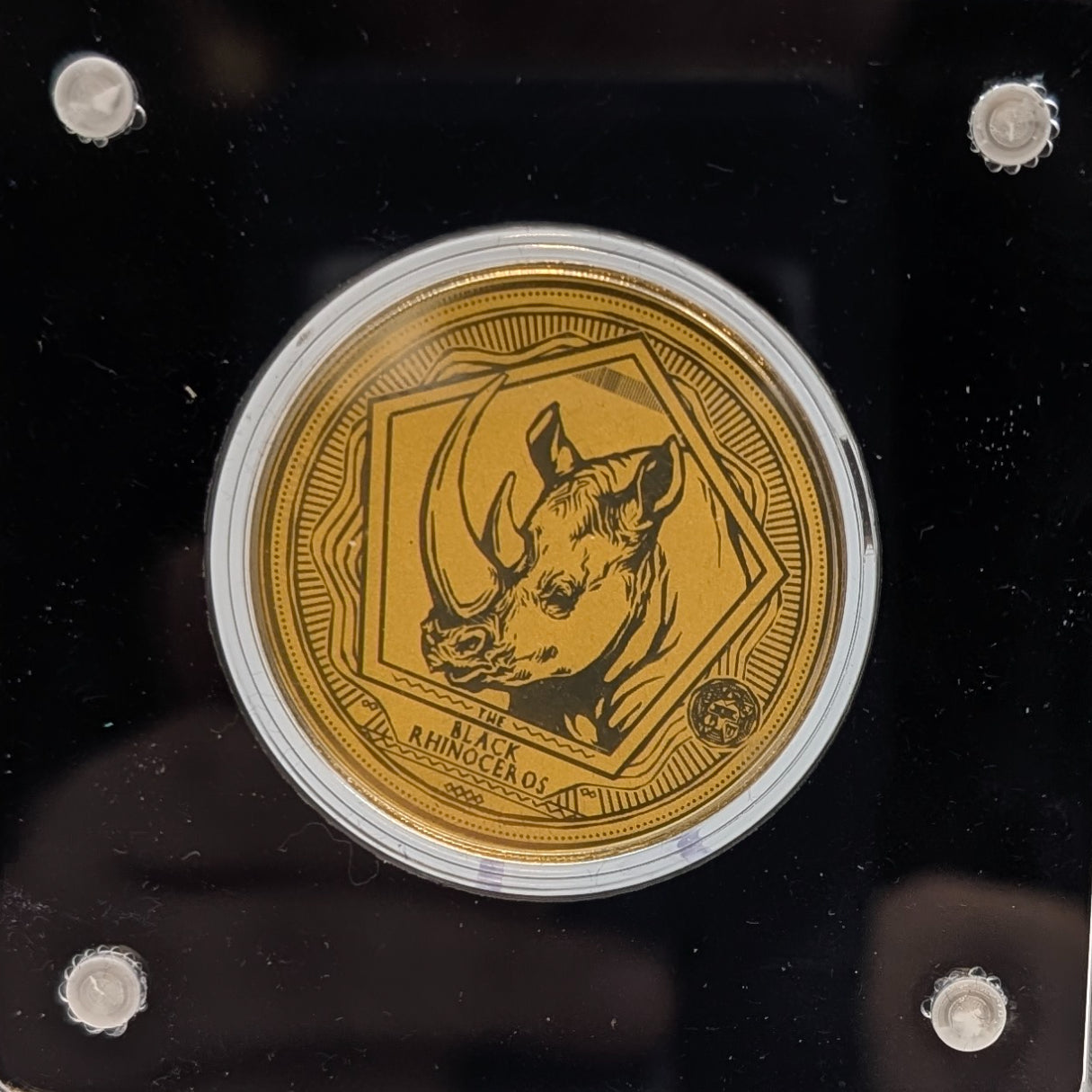 Big Five - Löwe, Nashorn, Elefant, Büffel, Leopard