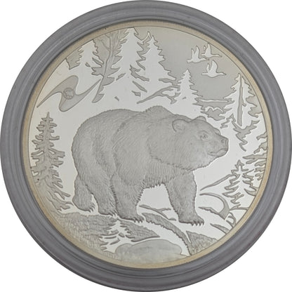 Bear/Bär - Fauna der ECAA-Mitgliedsstaaten, St. Petersburg