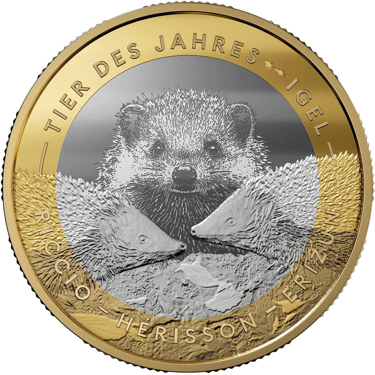 Der Igel - Tier des Jahres