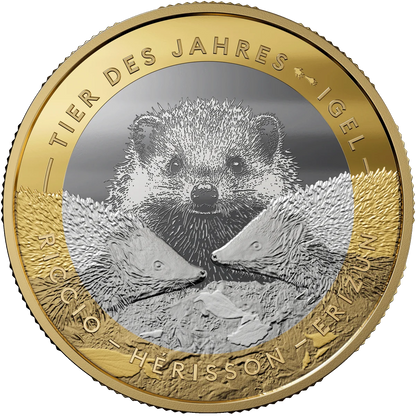 Der Igel - Tier des Jahres
