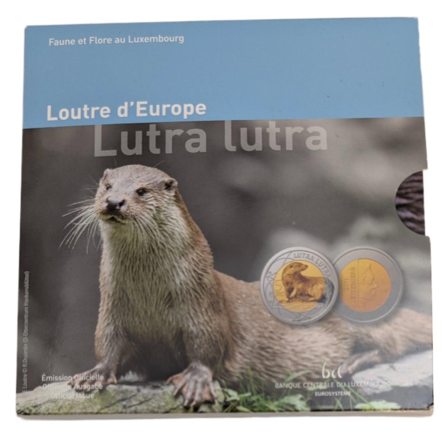 Europäischer Fischotter