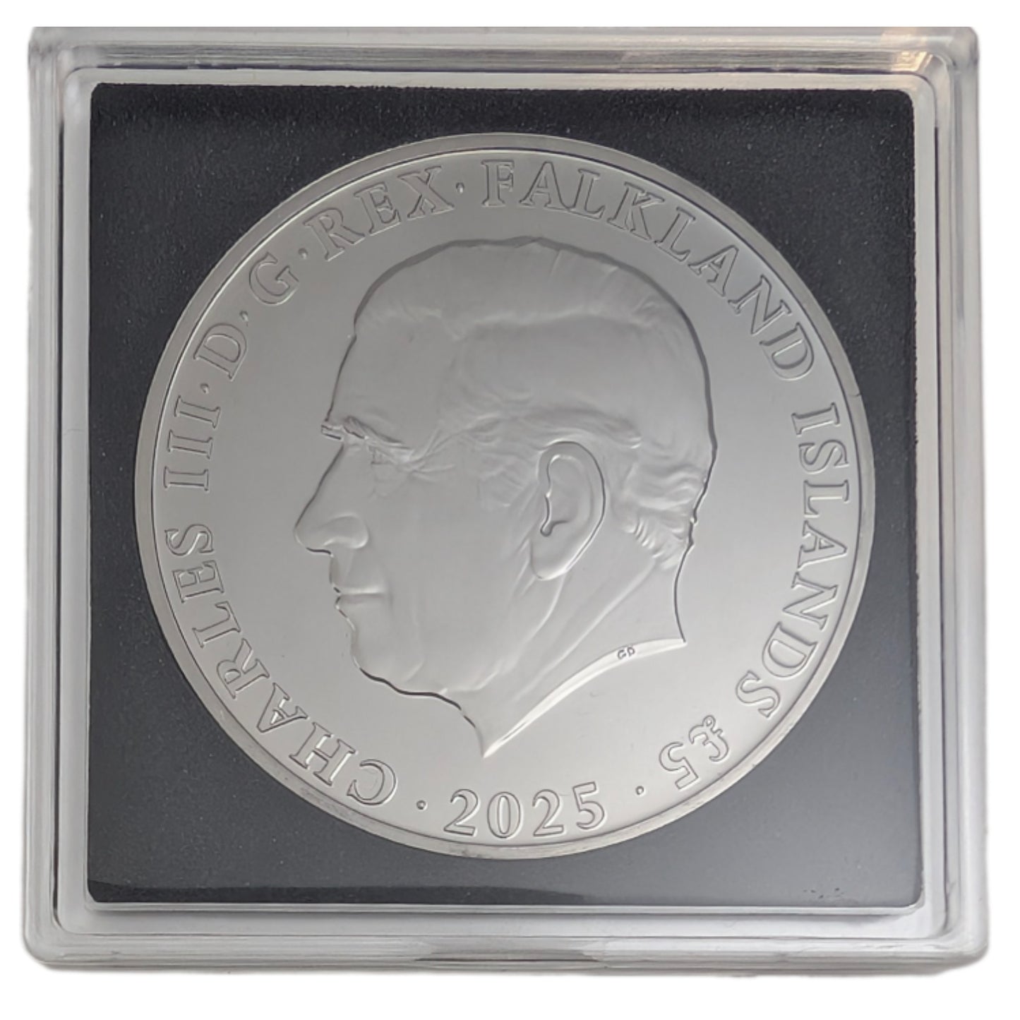 Königspinguin - Enigma Edition, mit Schwarz-Ruthenium und Gelbgold veredelt