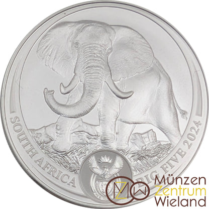 #1/5 Elefant - Big Five Serie III im informativen Blister